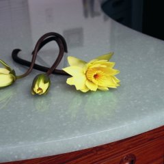 phoca_thumb_l_surfaces_012