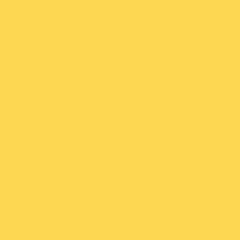 N-YELLOW_-_M-006
